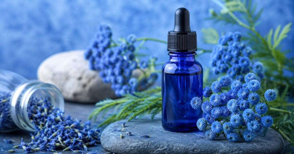 Blue Tansy Essential Oil