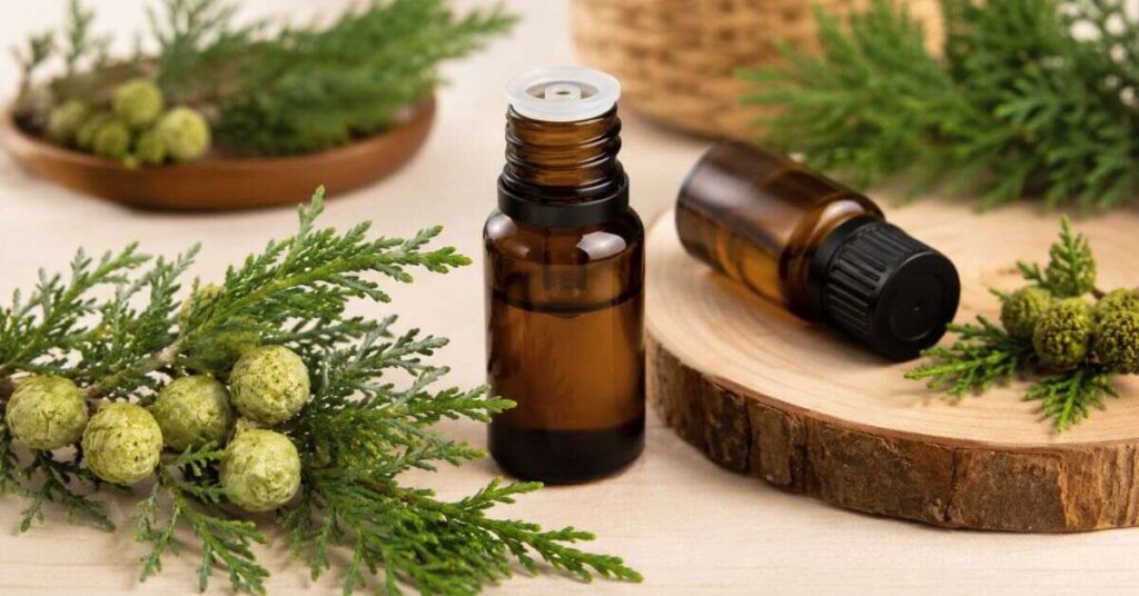 Cypress Essential Oil