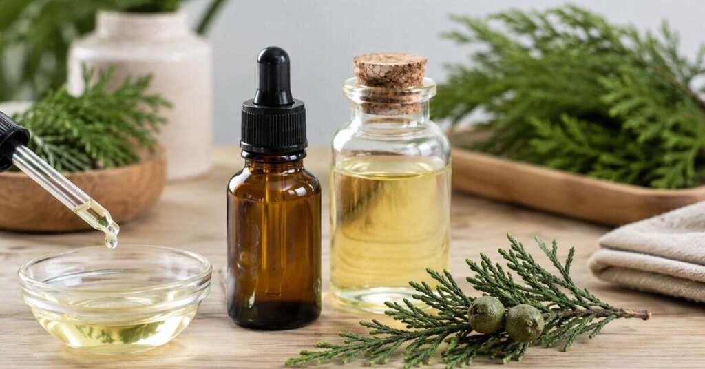 Cypress Essential Oil