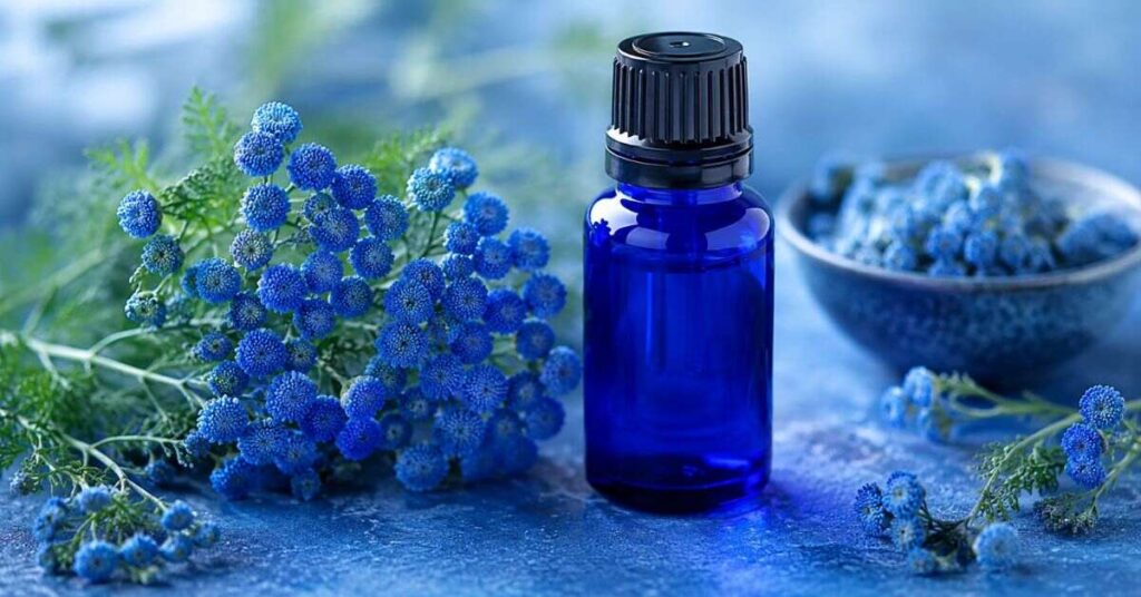 Blue Tansy Essential Oil