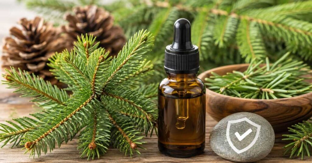 Balsam Fir Essential Oil