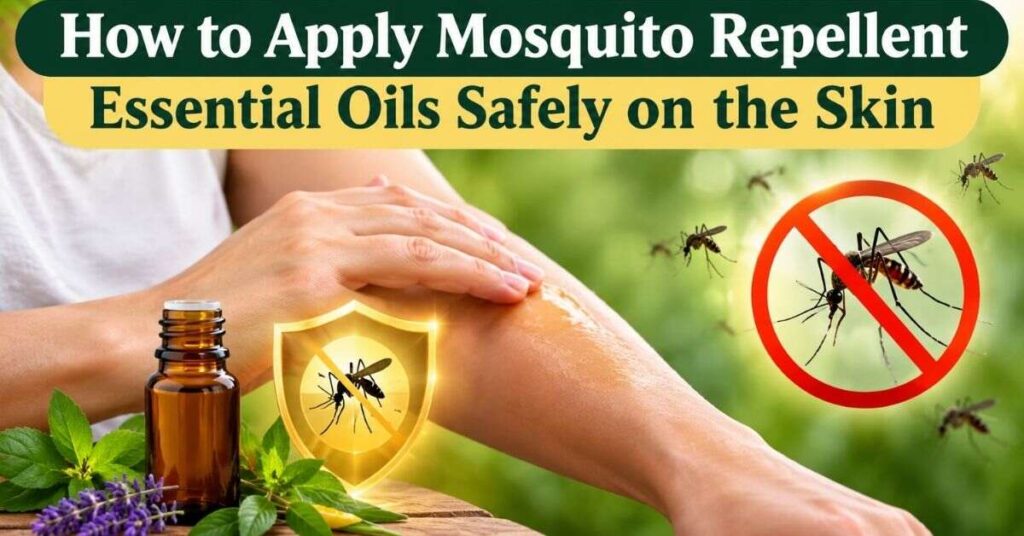 How to Apply Mosquito Repellent Essential Oils Safely on the Skin