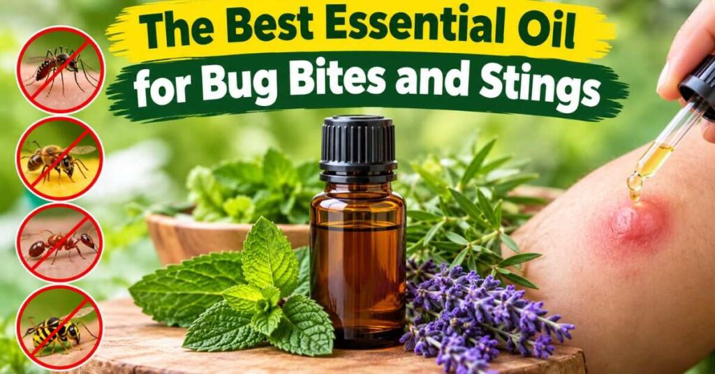 The Best Essential Oil for Bug Bites and Stings